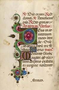 Initiale décorée D ; Initiale décorée M - Unknown artist