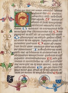 Initiale E décorée - Unknown artist