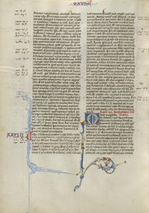 Initiale M décorée - Unknown artist