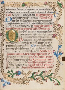 Initiale O décorée