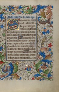 Initiale S décorée - Unknown artist
