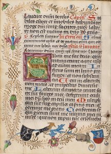 Initiale S décorée - Unknown artist
