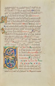 Initiale S décorée - Unknown artist