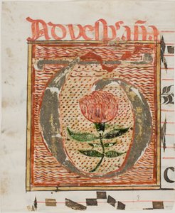 Initiale "T" décorée d