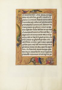 Page de texte décorée - Unknown artist
