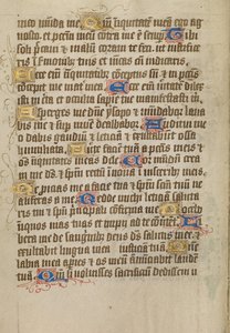 Page de texte décorée - Unknown artist