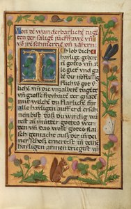 Page de texte décorée