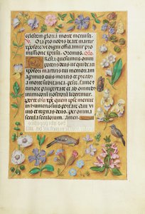 Page de texte décorée - Unknown artist