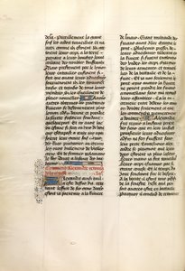 Page de texte décorée - Unknown artist