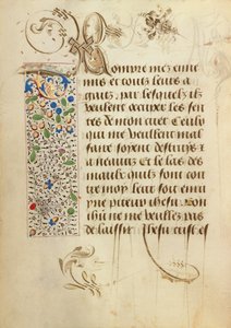 Page de texte décorée - Unknown artist
