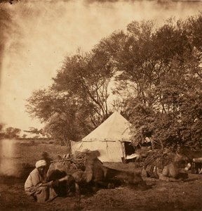 [Oasis de Faiyum] - Unknown artist