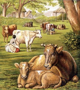 Paysans tirant du lait. 19e siècle - Unknown artist