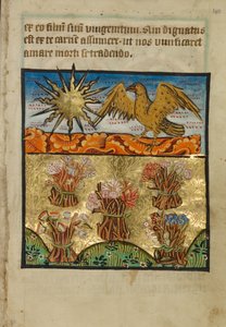 Cinq bouquets de fleurs - Unknown artist