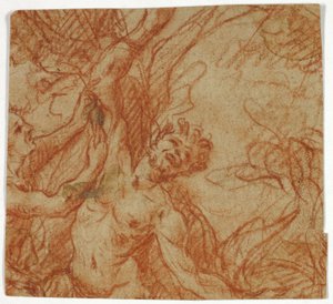 Écorchement de Marsyas - Unknown artist