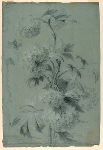 Motif floral - Unknown artist