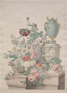 Flore Pittoresque ou Recueil de Fruits et de Fleurs - Unknown artist