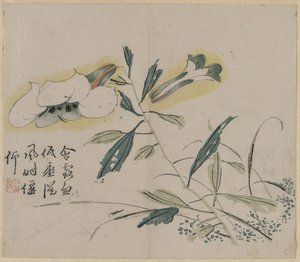 Lys en fleurs - Unknown artist