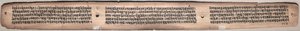 Folio 20 (verso), d