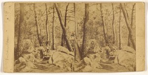 [Fontainebleau] - Unknown artist