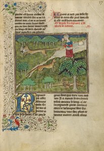 Les renards et leurs ruses - Unknown artist