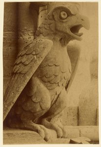 [Gargoyle, Notre-Dame] - Unknown artist