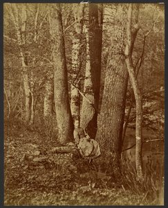 [Fille assise entre deux arbres] - Unknown artist