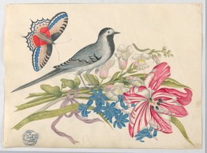 Oiseau gris sur une branche avec tulipe, mufliers et myosotis avec papillon - Unknown artist