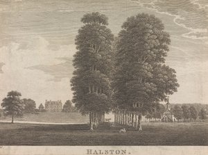 Halston; page 22 (Volume Deux) - Unknown artist