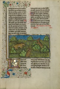 Lièvres - Unknown artist