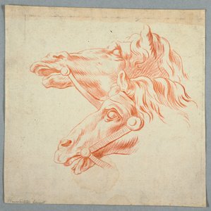 Études de chevaux