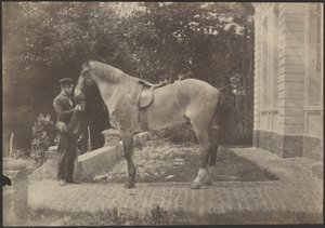 [Le cheval et l