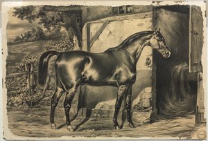 Cheval devant une grange (verso) - Unknown artist