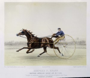 Équitation : Berger F. Knapp, trotteur - dans "le Centaure" - Unknown artist
