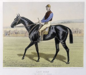 Équitation : Dernier né - dans "le Centaure" - Unknown artist