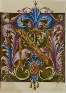 Initiale "N" enluminée avec feuilles d