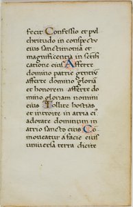 Feuille de manuscrit enluminée - Unknown artist