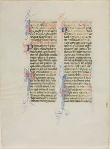 Feuille de manuscrit enluminée - Unknown artist