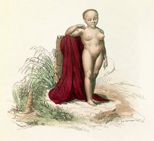 Illustration tirée du livre "Œuvres complètes de Buffon" : Histoire naturelle de l