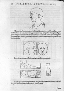 Image de la physiognomonie de "Collectio Operum" par Robert Fludd (Robertus de Fluctibus). Londres 1617 - Unknown artist