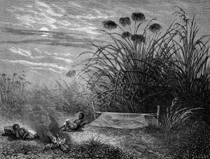 À Masoumbo : moustiquaire de Livingstone - « Dernier voyage de Livingstone 1866-1873 » dans « Tour du Monde », 2ème semestre 1875 - Unknown artist