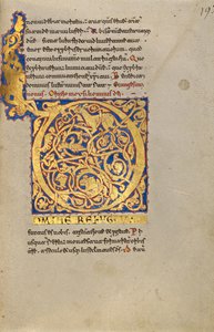 Habité Initial D