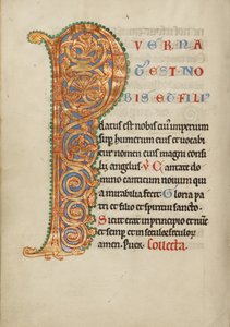 Habité Initial P - Unknown artist