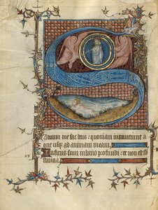 Initial S : David dans l