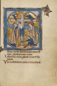 Initial S : La déposition - Unknown artist