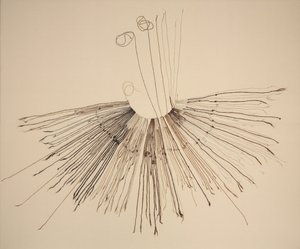 Inka Khipu (Dispositif d