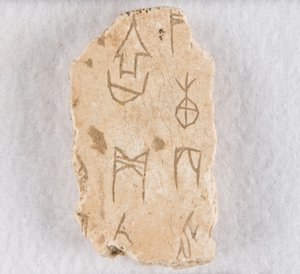 Fragment d