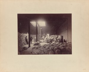 [Intérieur du centre de triage de la laine, Walter Brown and Company]. - Unknown artist