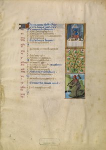 Page du calendrier de janvier ; Festins ; Verseau