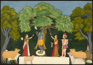 Krishna divertit ses compagnons