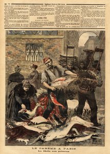 La Halle aux poissons de Paris. Gravure dans « Le petit journal » 4/03/1893. Collection Selva - Unknown artist